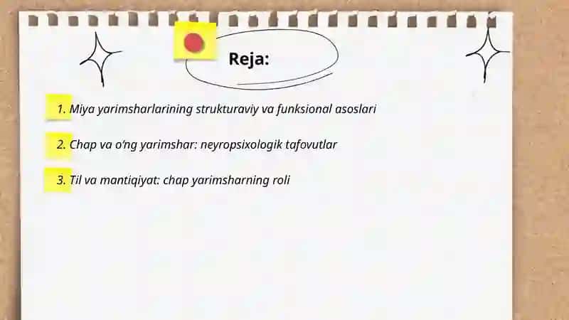 Miya yarimsharlarining funksional tafovutlari va ularni hisobga olishda pedagogning roli 2