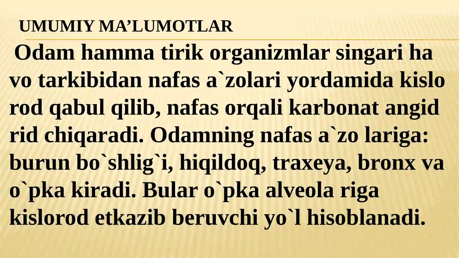 NAfas A`zolari Tizimi 2