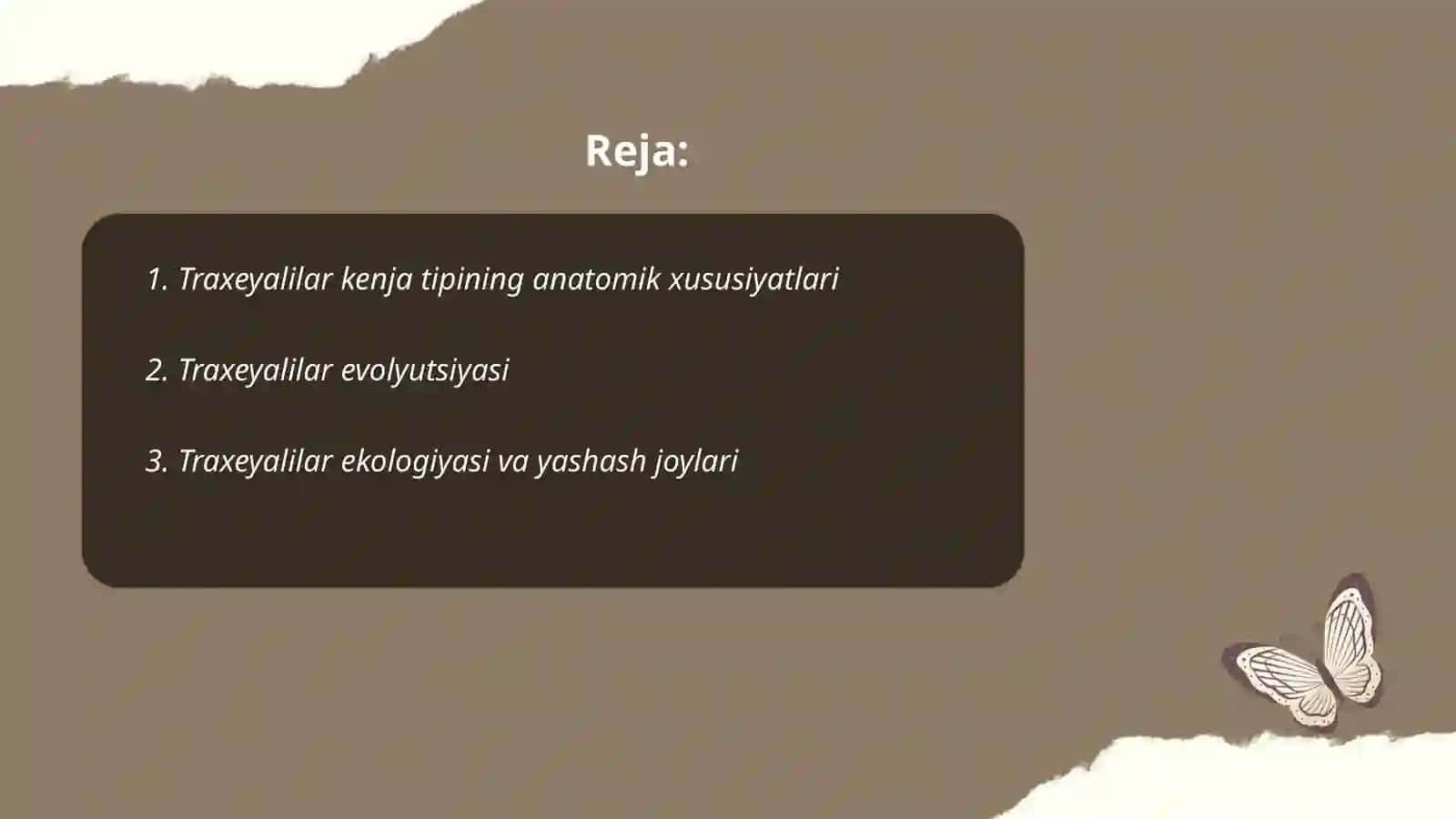 Traxeyalilar kenja tipining umumiy xarakteristikasi 2
