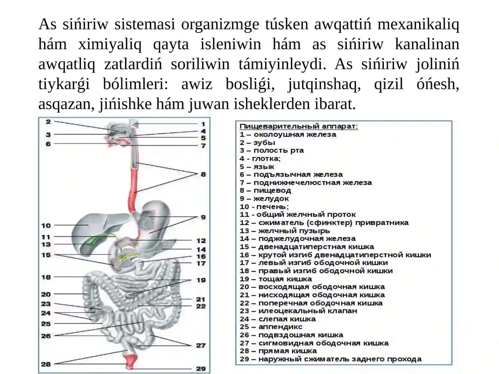 AS SIŃIRIW SISTEMASI 2