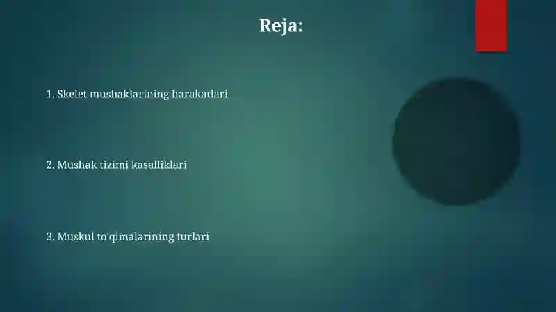 Muskultizimi 2