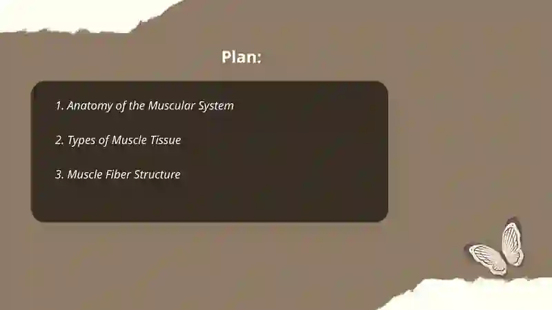 Muscular System 2