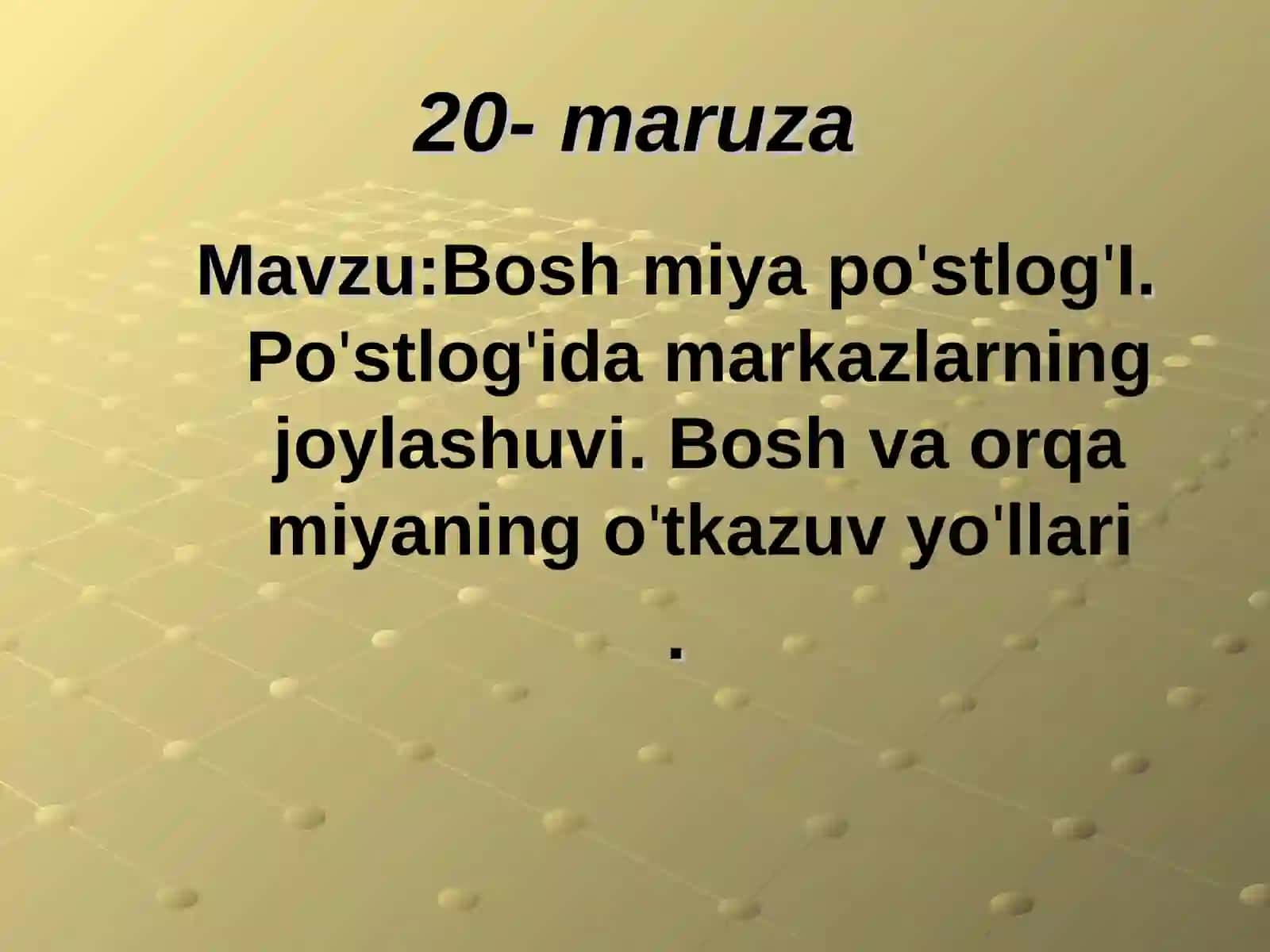 Bosh miya po'stlog'I.Po'stlog'ida markazlarning joylashuvi 2