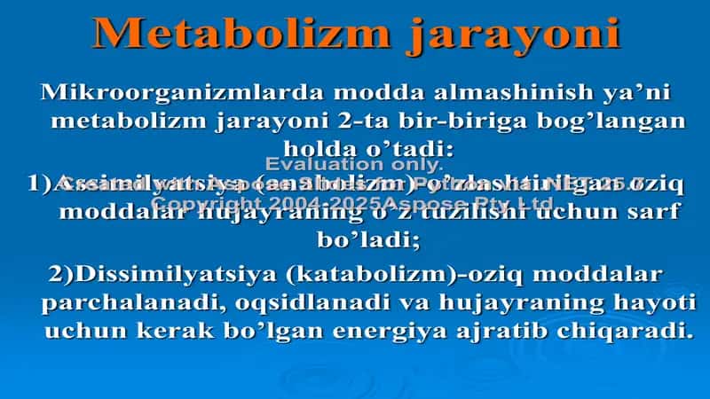 Bakteriyalar fiziologiyasi. Metabolizm jarayoni 2