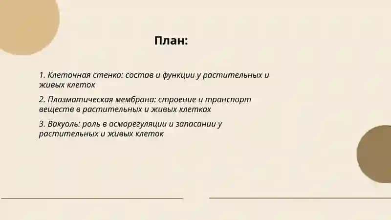 Сравнительная характеристика растительных и живых клеток 2