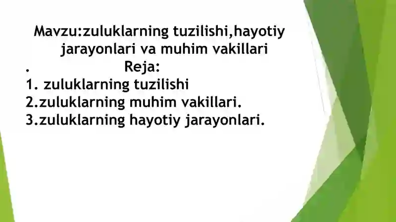 Zuluklar (Hirudinea) 2