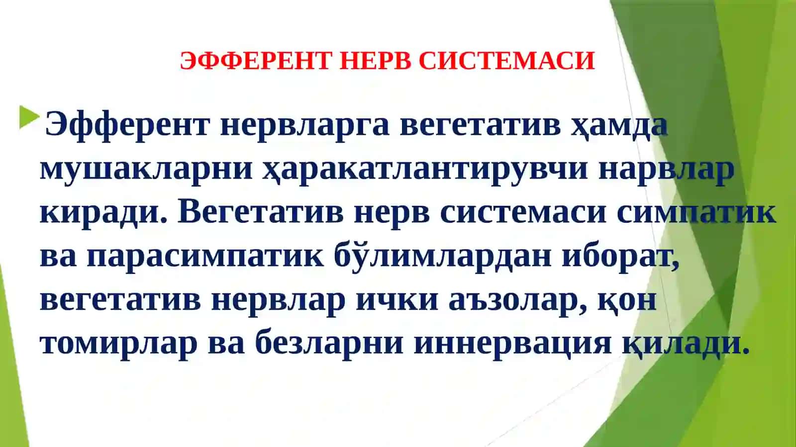 M-ХОЛИНОРЕЦЕПТОРЛАРГА ТАЪСИР ЭТУВЧИ МОДДАЛАР 2