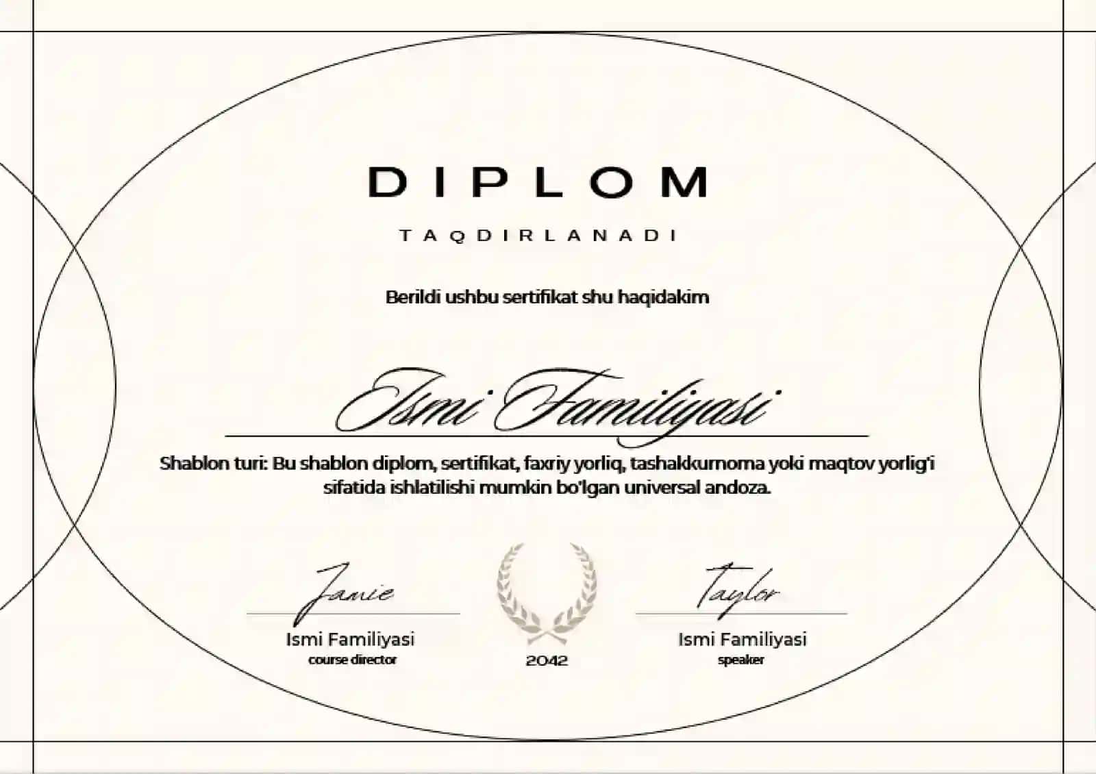 DIPLOM 2