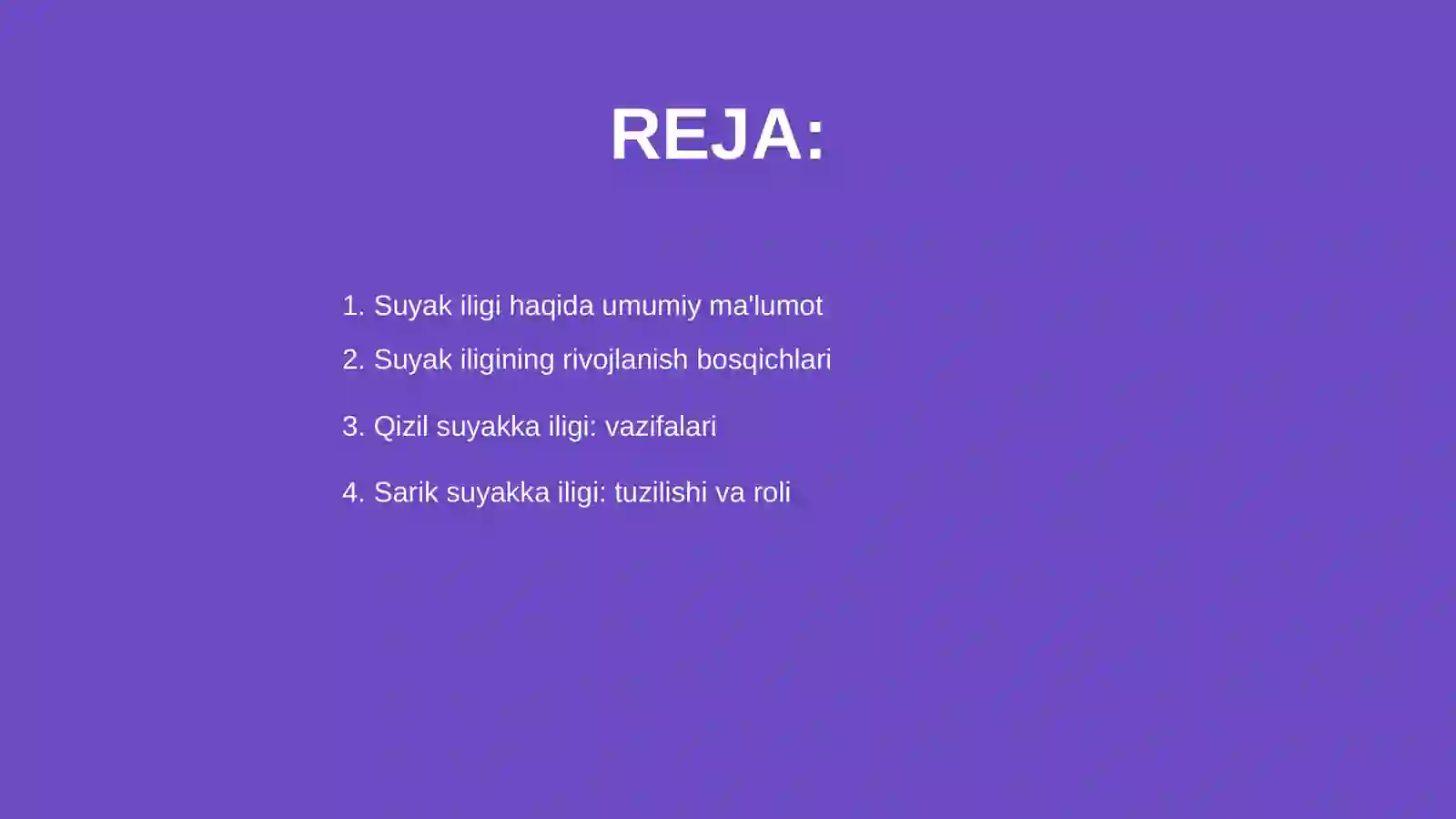 Suyak iligi 2