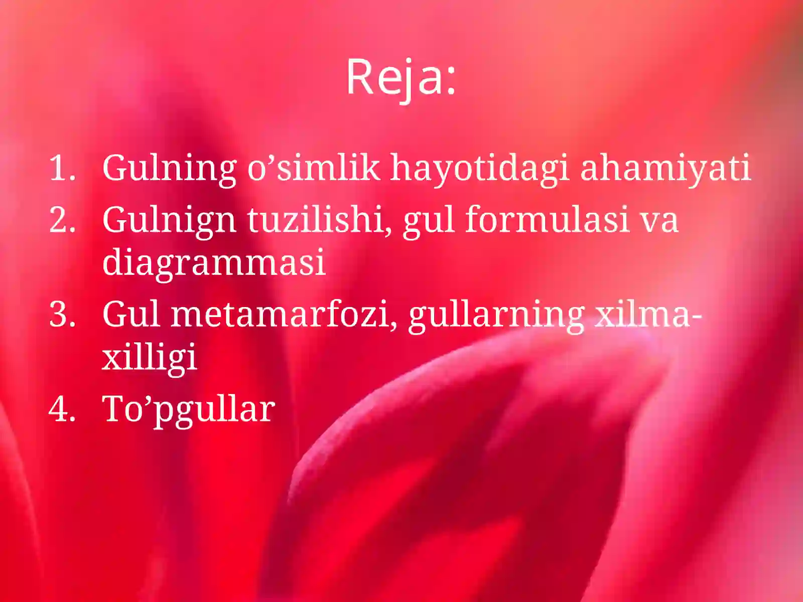 Gul 2