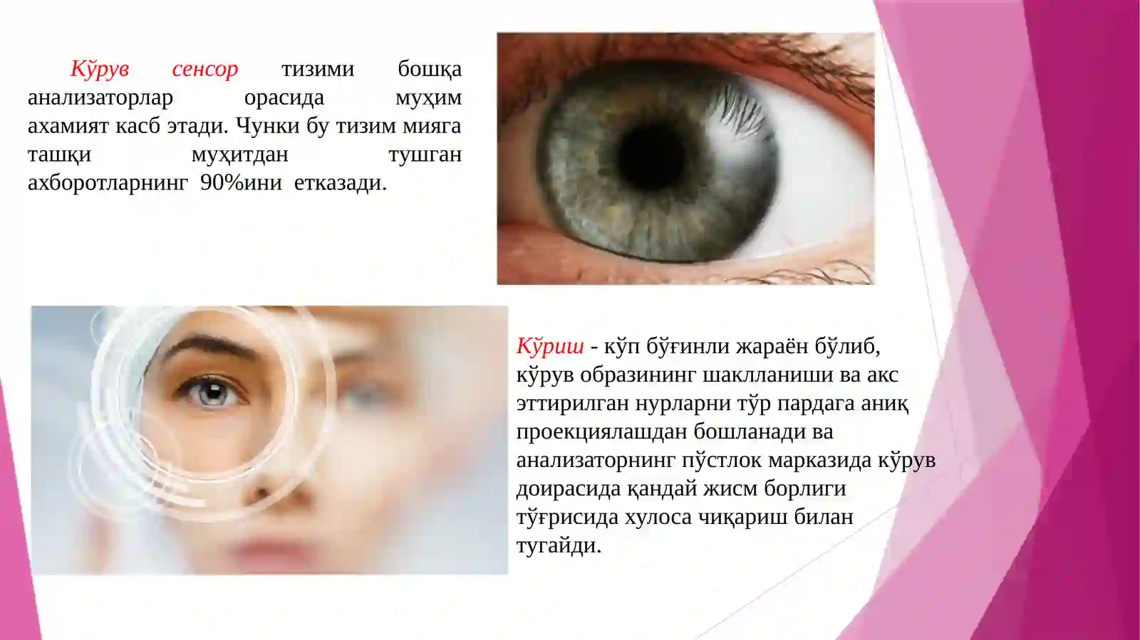 Кўруванализатори 2