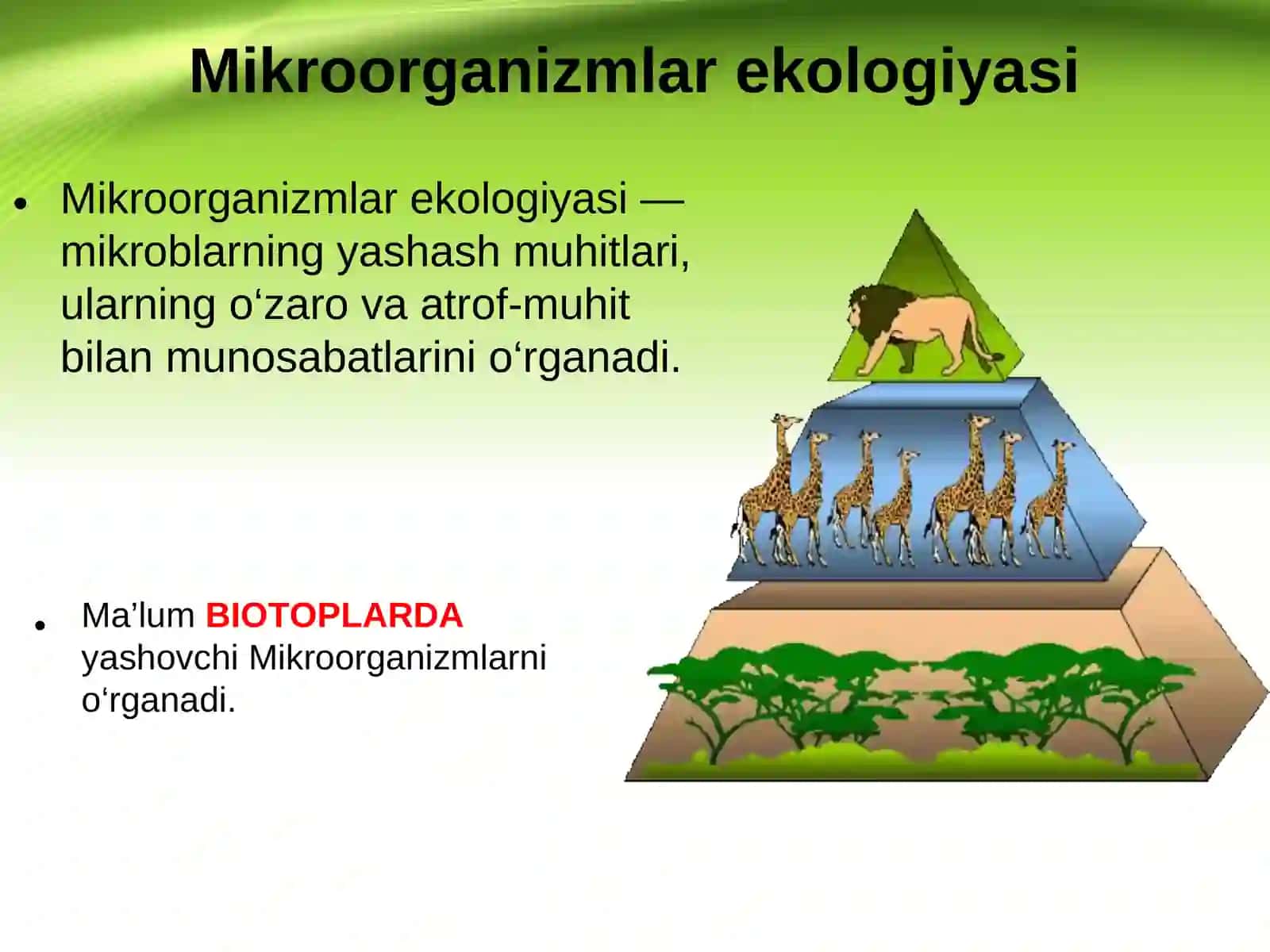 MIKROORGANIZMLAR EKOLOGIYASI 2