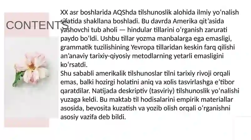 Amerika deskriptiv maktabi 2