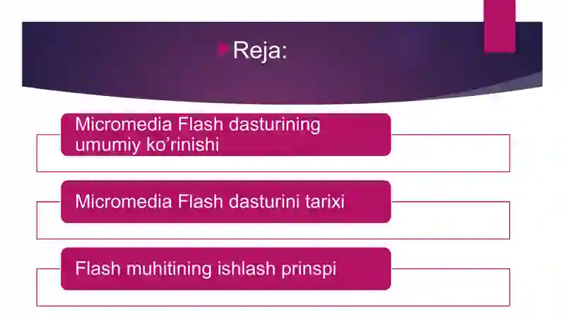 MikromediaFlash dasturi 2