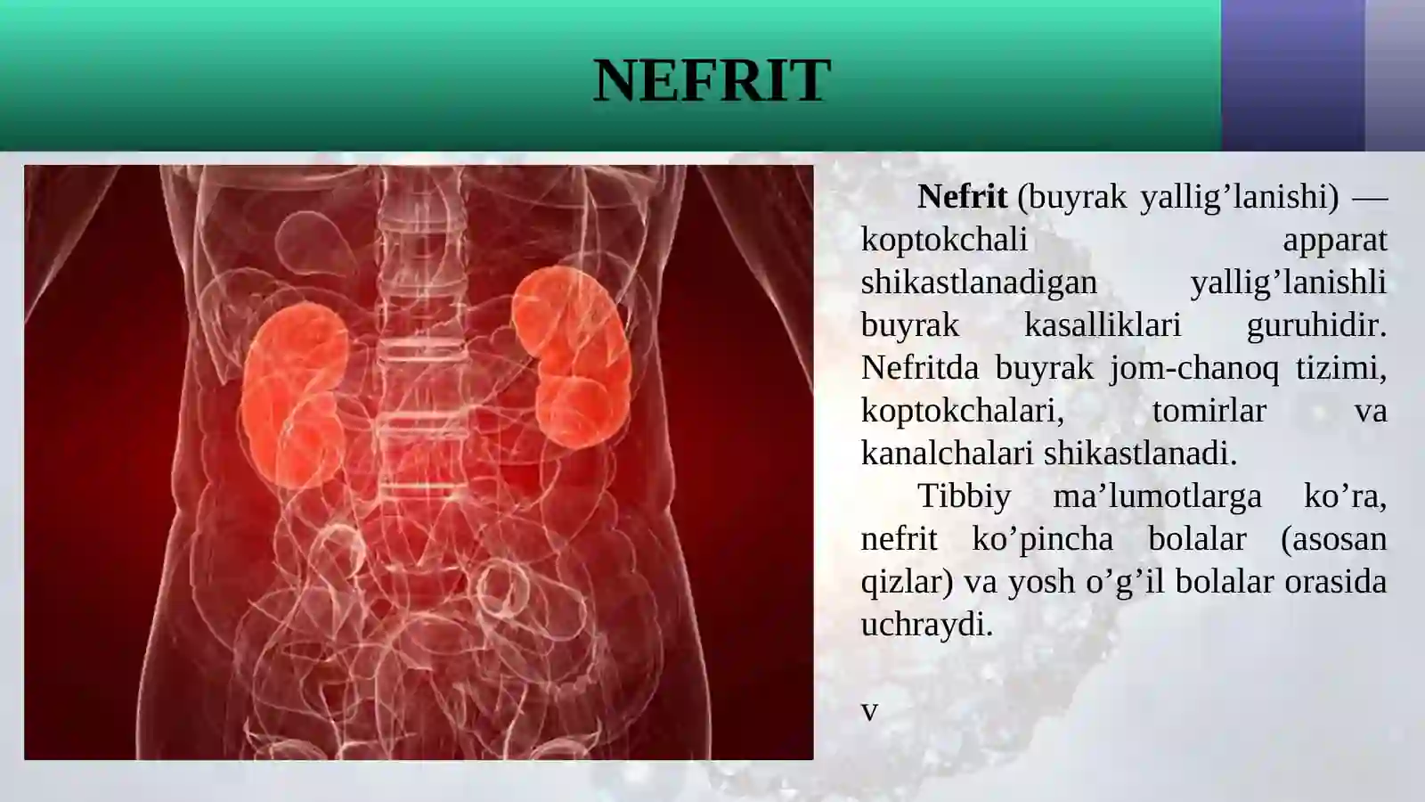 NEFRITLAR 2
