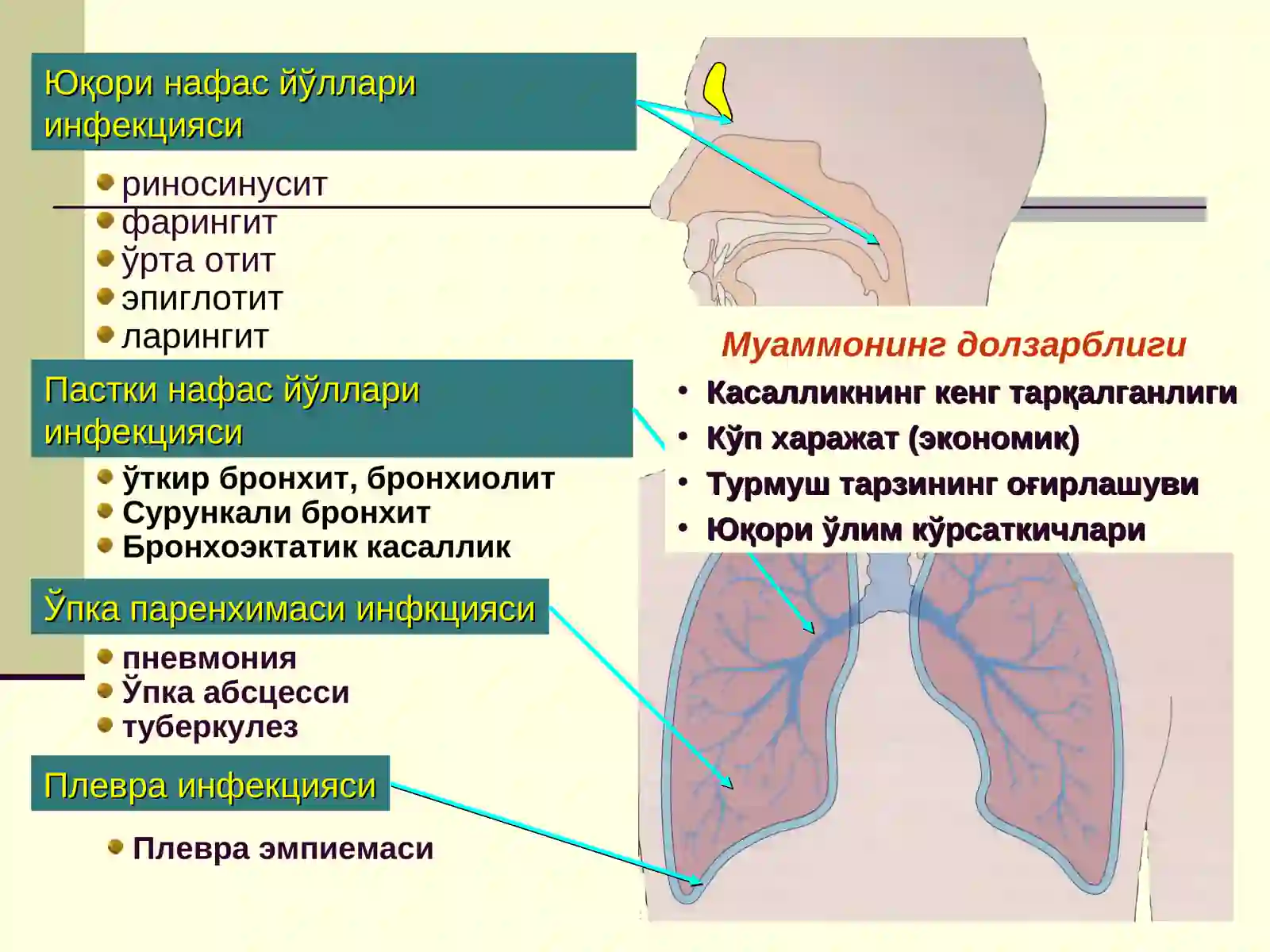 Пневмония 2