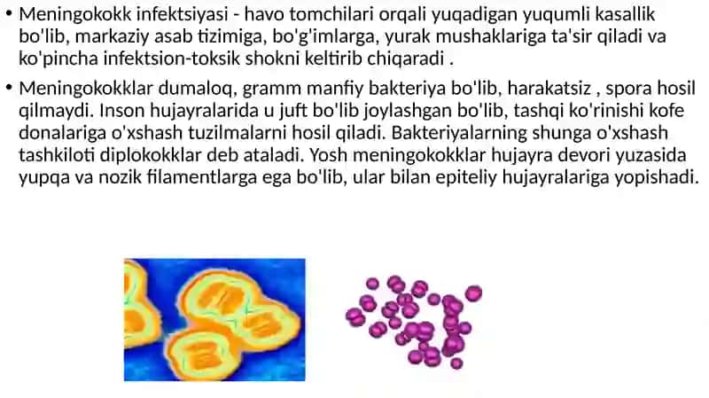Meningokokkli infektsiyasi(meningokokk ) 2