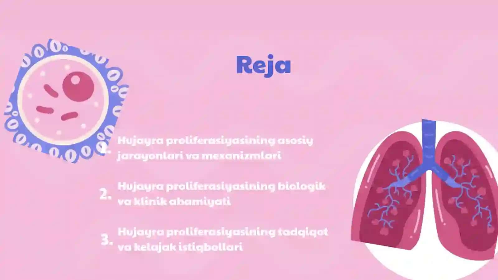 Hujayra Poliferasiyasi. Slayd 2