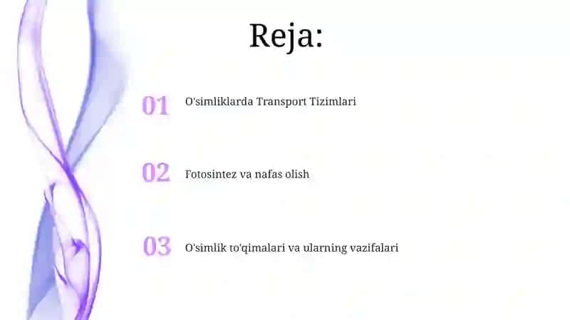 O‘simliklar anatomiyasi va fiziologiyasi 2