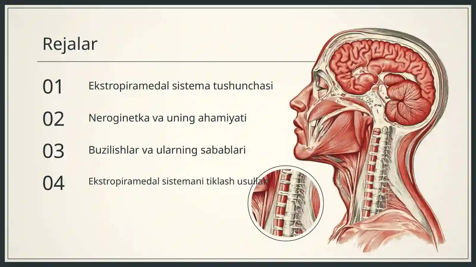 Ekstropiramedal sistema va uning buzulishlari Neroginetka 2
