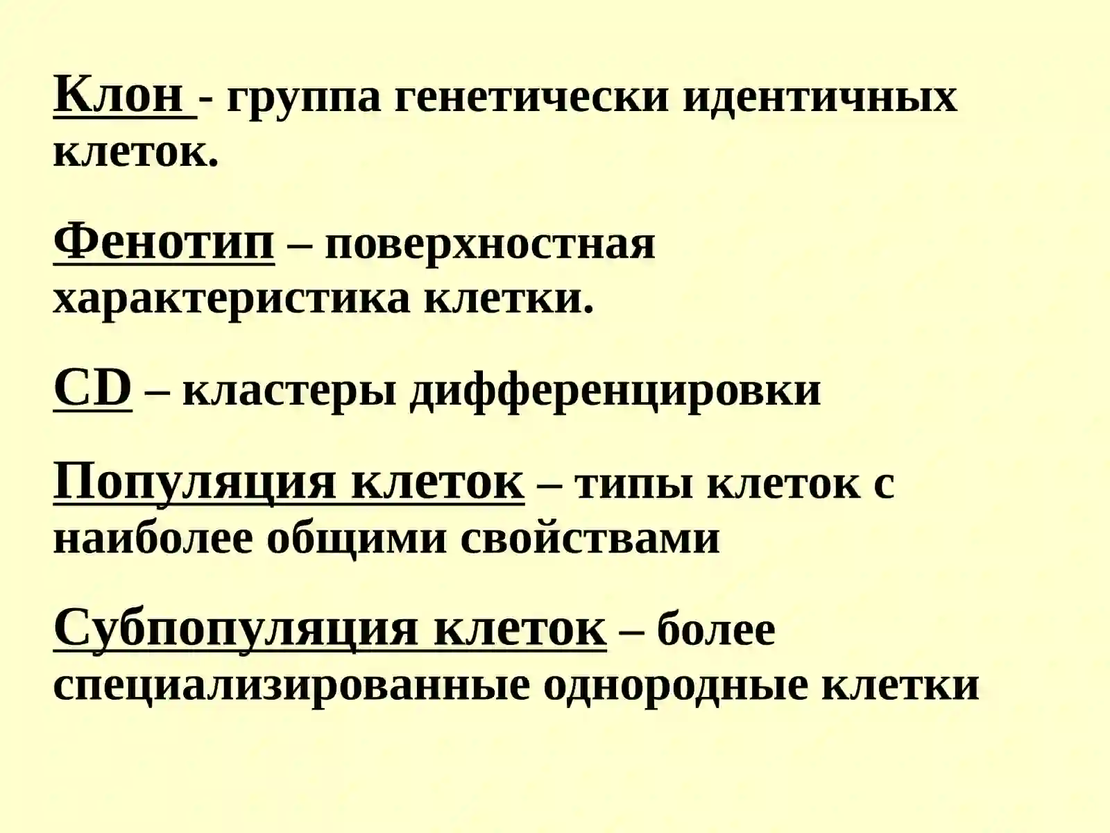 Т-лимфоциты 2