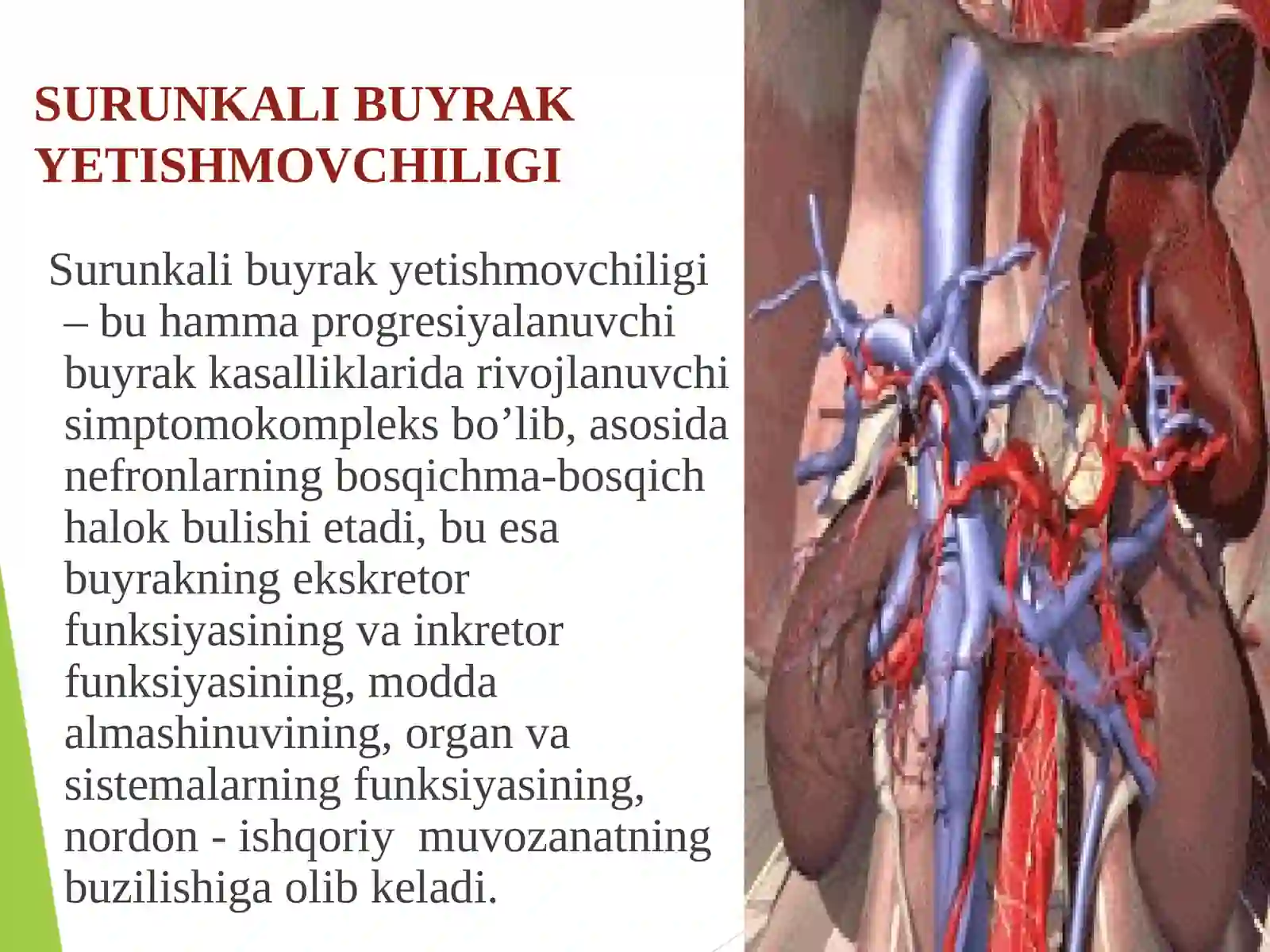 SURUNKALI BUYRAK YETISHMOVCHILIGI ETIOLOGIYASI, PATOGENEZI, TASNIFI KLINIK SINDROMLARI DIAGNOSTIKASI VA DAVOLASHDA QO’LLANILADIGAN DORI VOSITALARINING FARMOKODINAMIKASI 2