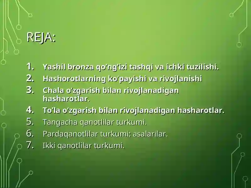 Hasharotlar Sinfi 2