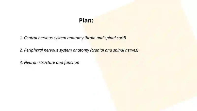 Nervous system 2