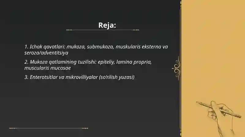 Ichak qavatlari va tuzilishi 2