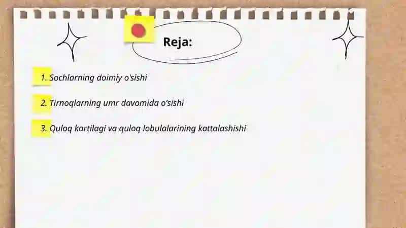 Inson tanasining yoshi bilan o'sishda davom etadigan qismlari 2