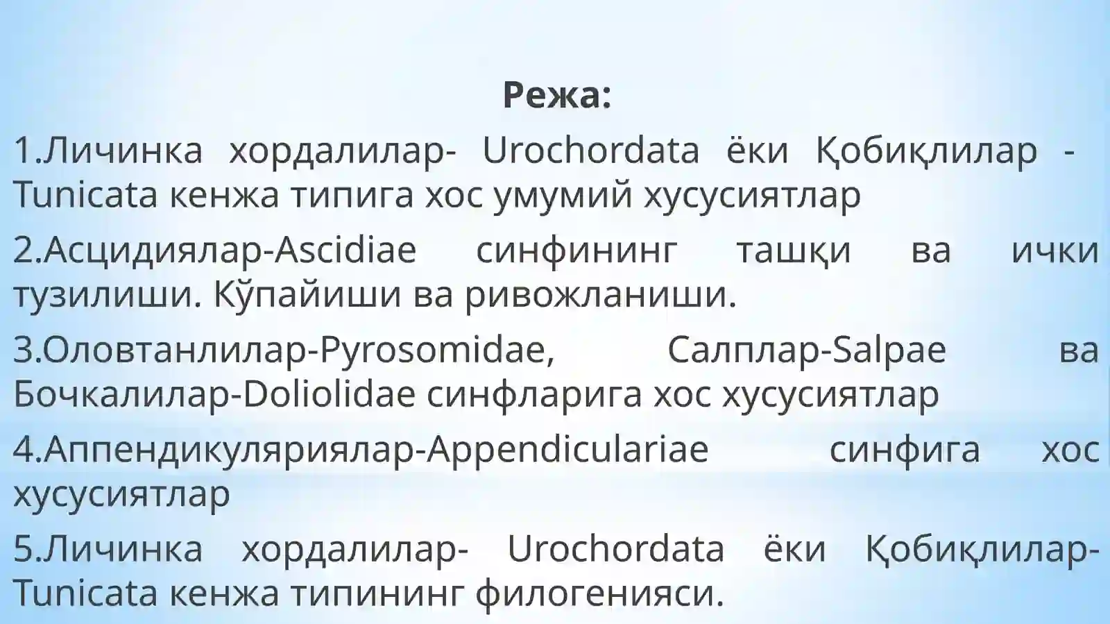 Хордалилар - Chordata типи 2