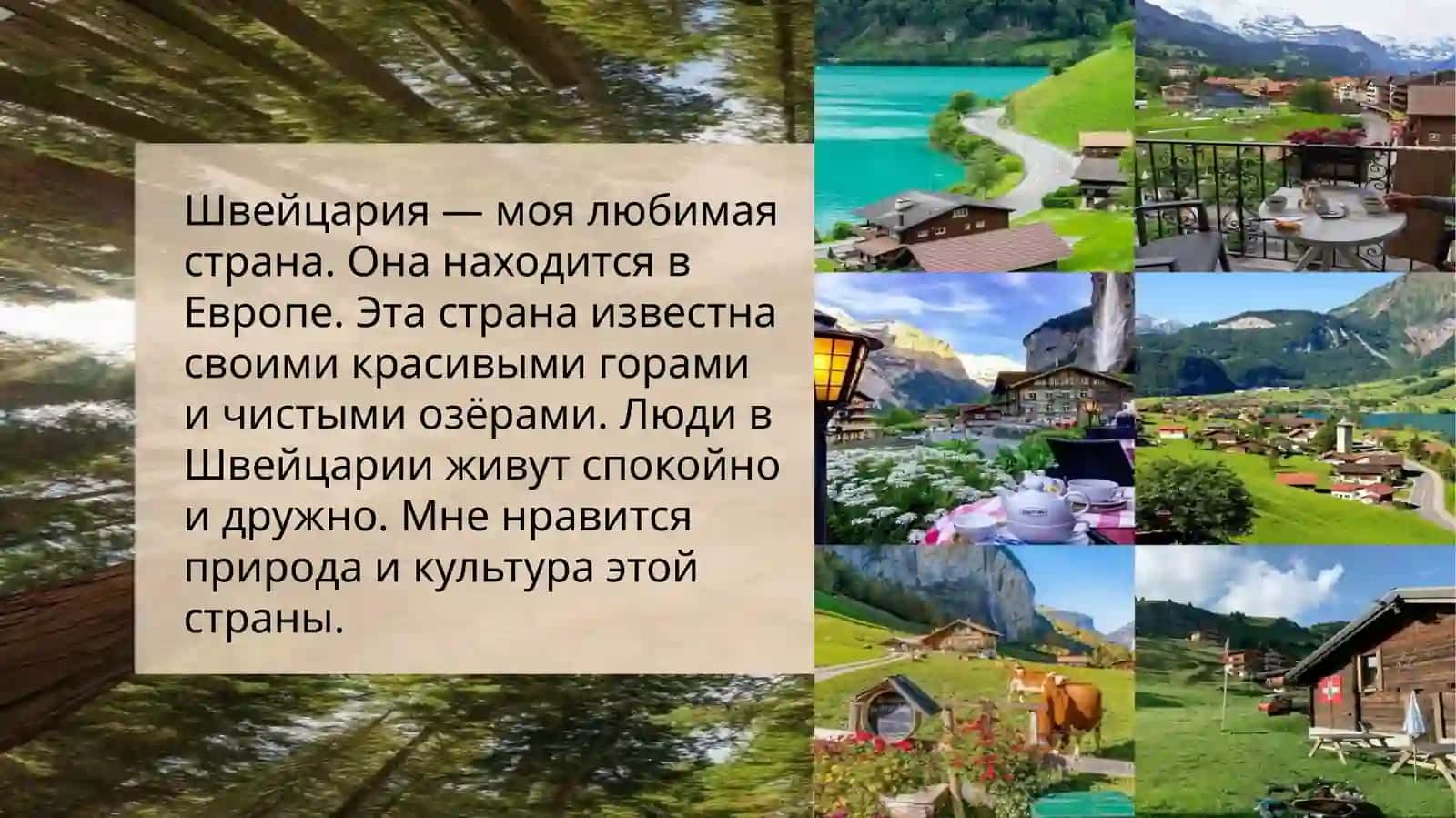 Швейцария — моя любимая страна 2