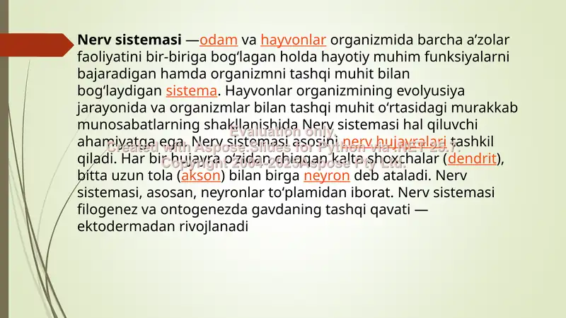 Nerv sistemasi 2