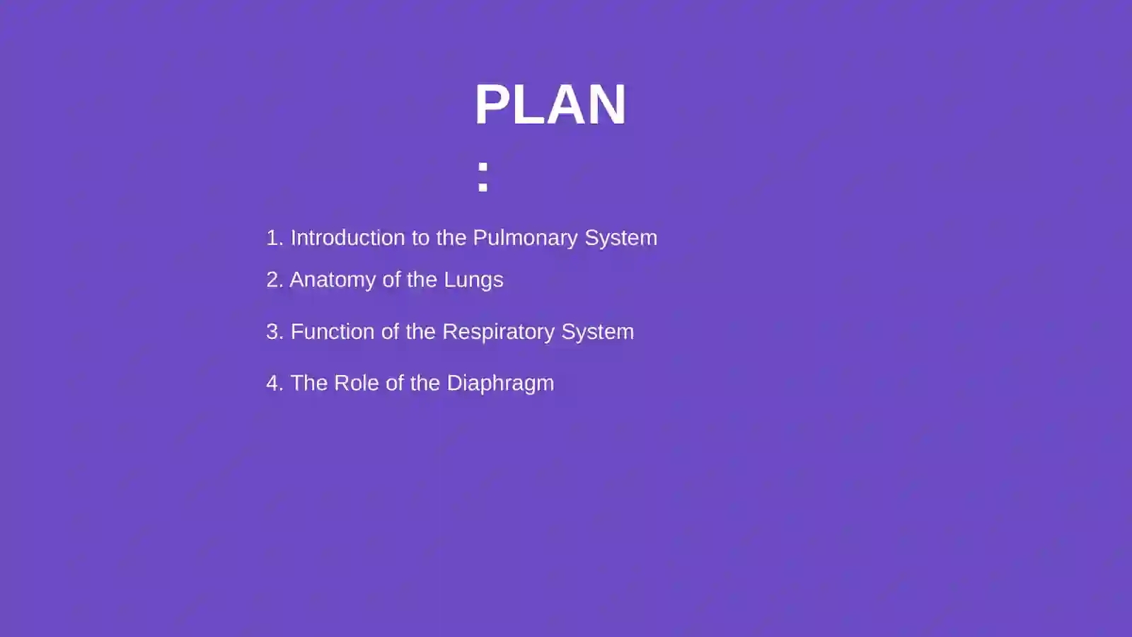 Lungs and a pulmonary system 2