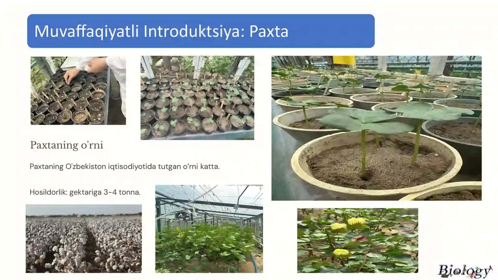 Kamyob va Yo'qolib Ketish Xavfi Bor O'simliklar Introduksiyasi 2