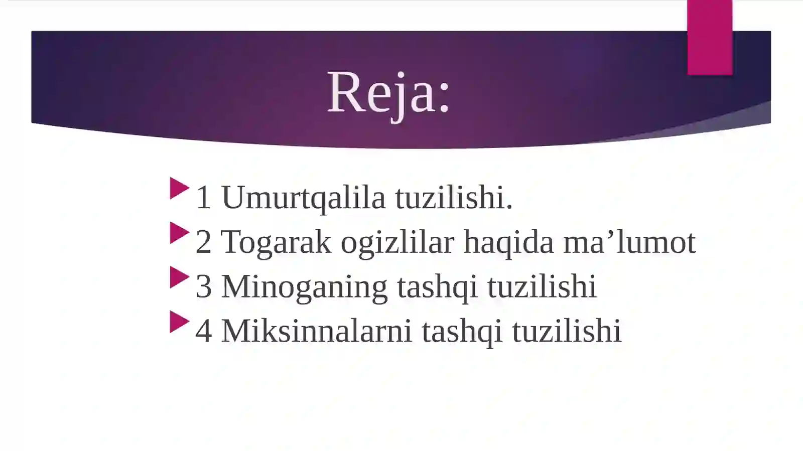Umurtqalilar kenja tipi 2