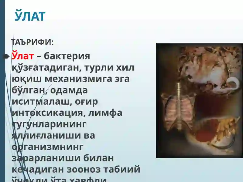 Ўлат 2