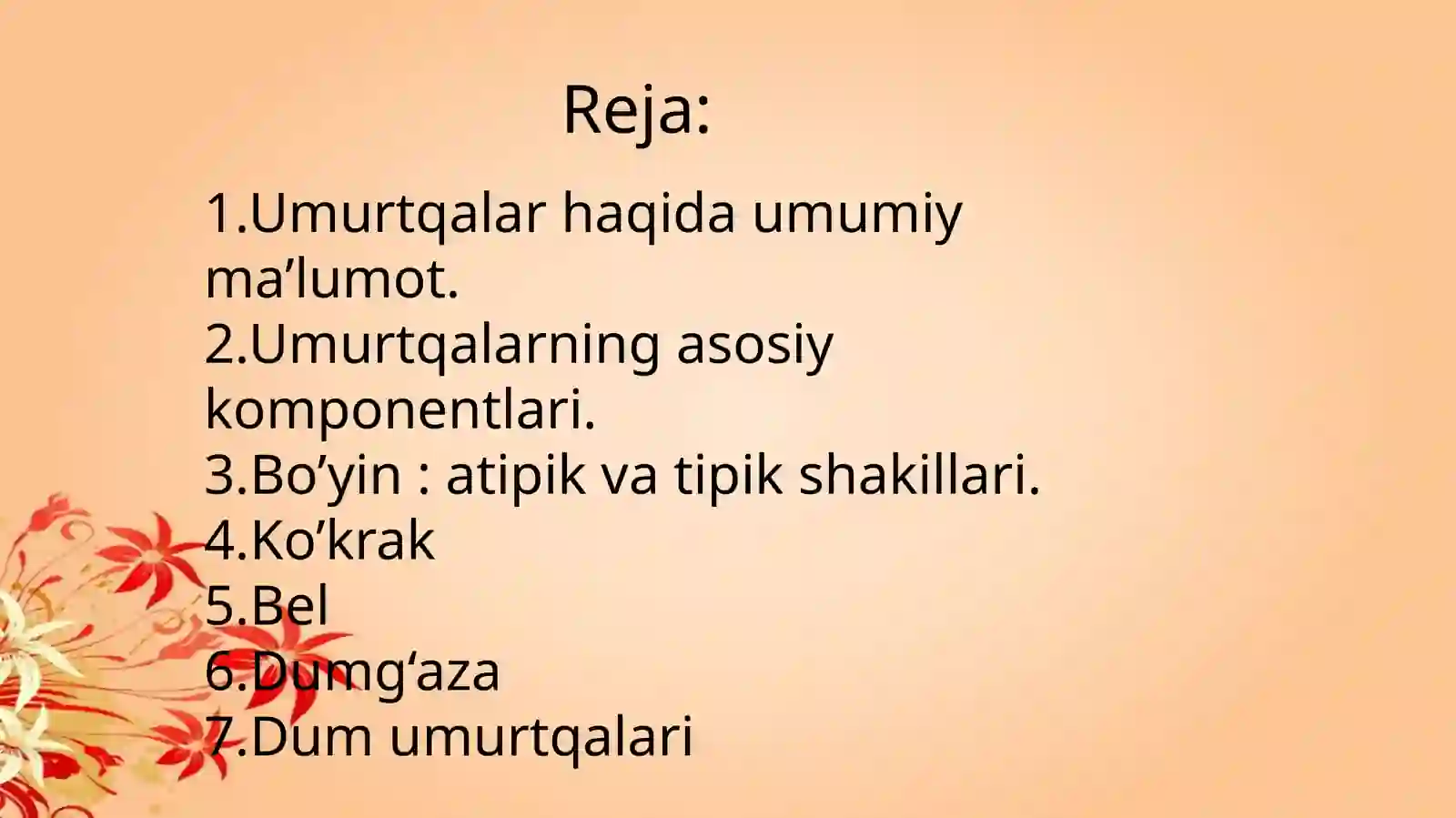 Umurtqalar -vertebrae 2