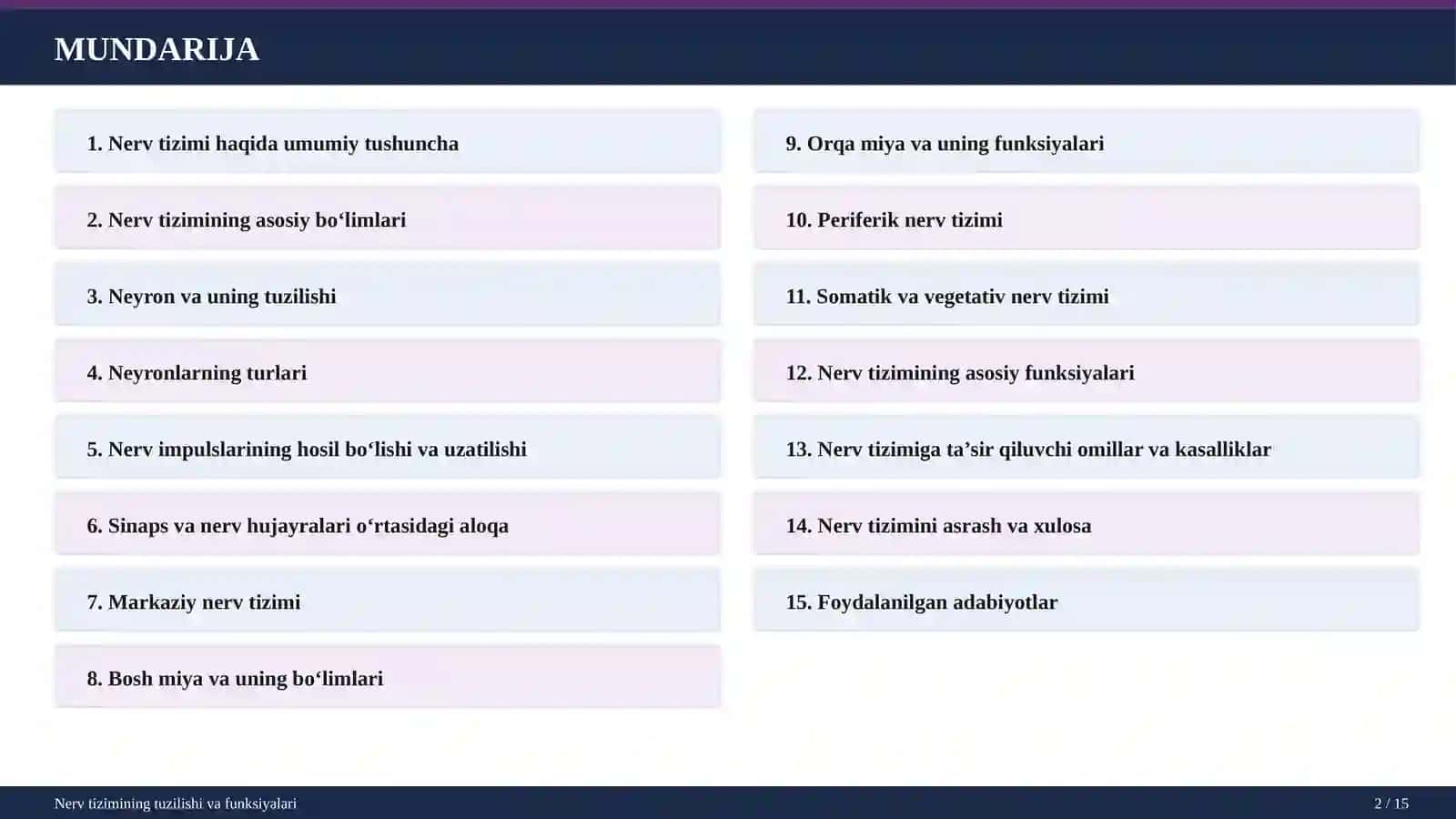 Nerv Tizimining Tuzilishi 2