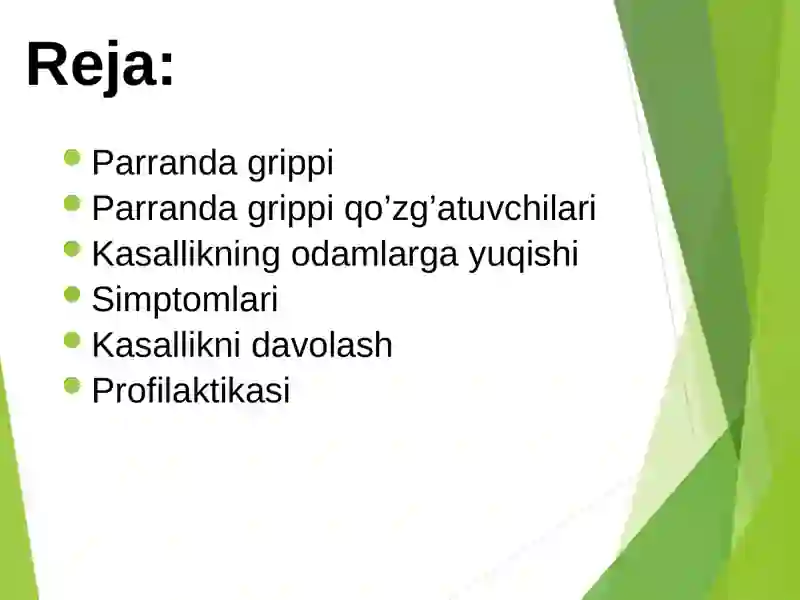 Parranda grippi 2