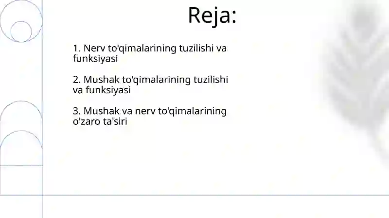 Muskul va Nerv toʻqimasi 2
