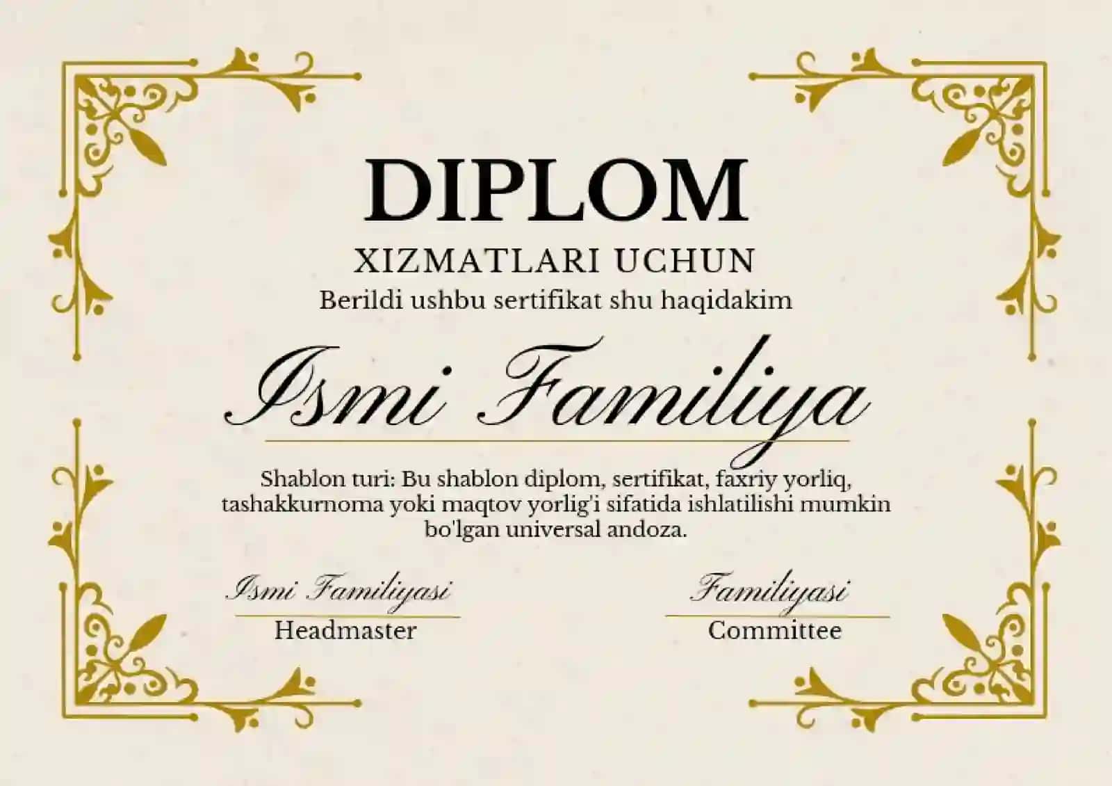 DIPLOM 2