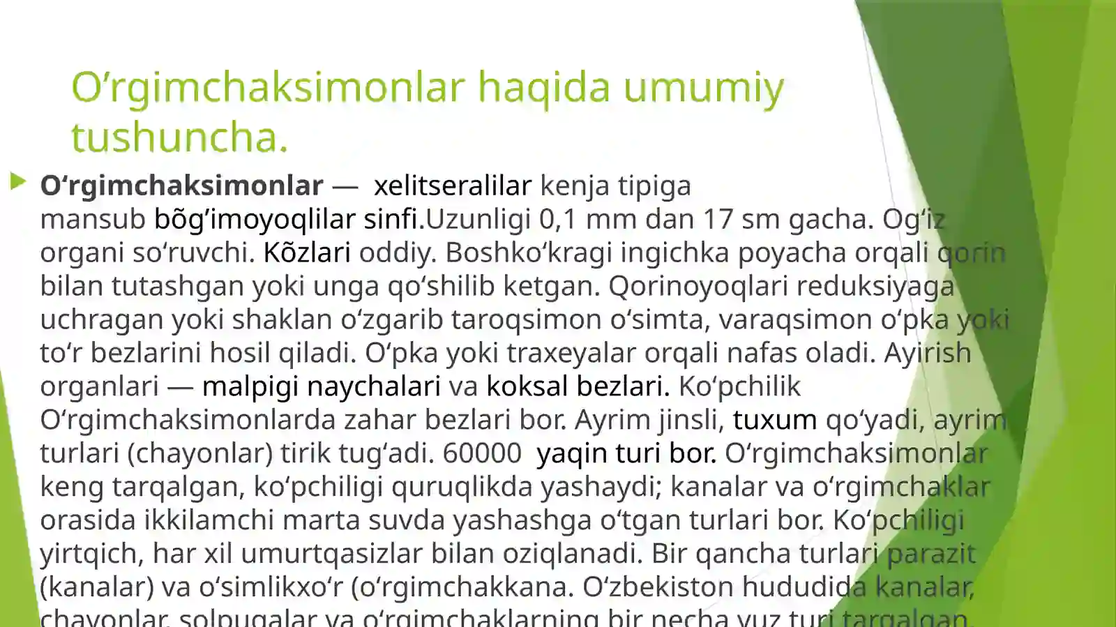 O’rgimchaksimonlar sinfi 2