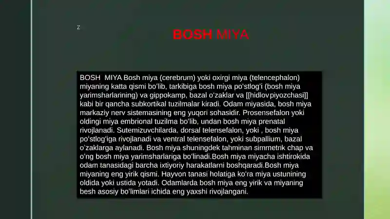 BOSH MIYA 2
