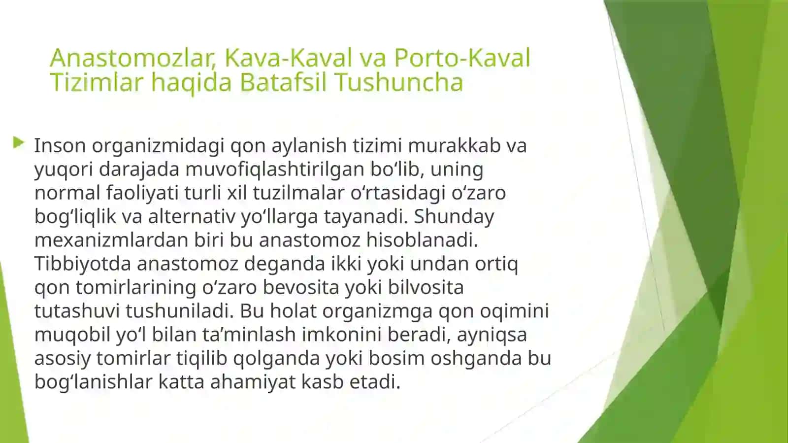 Kava-kavalporto-kavalanastamozlar 2