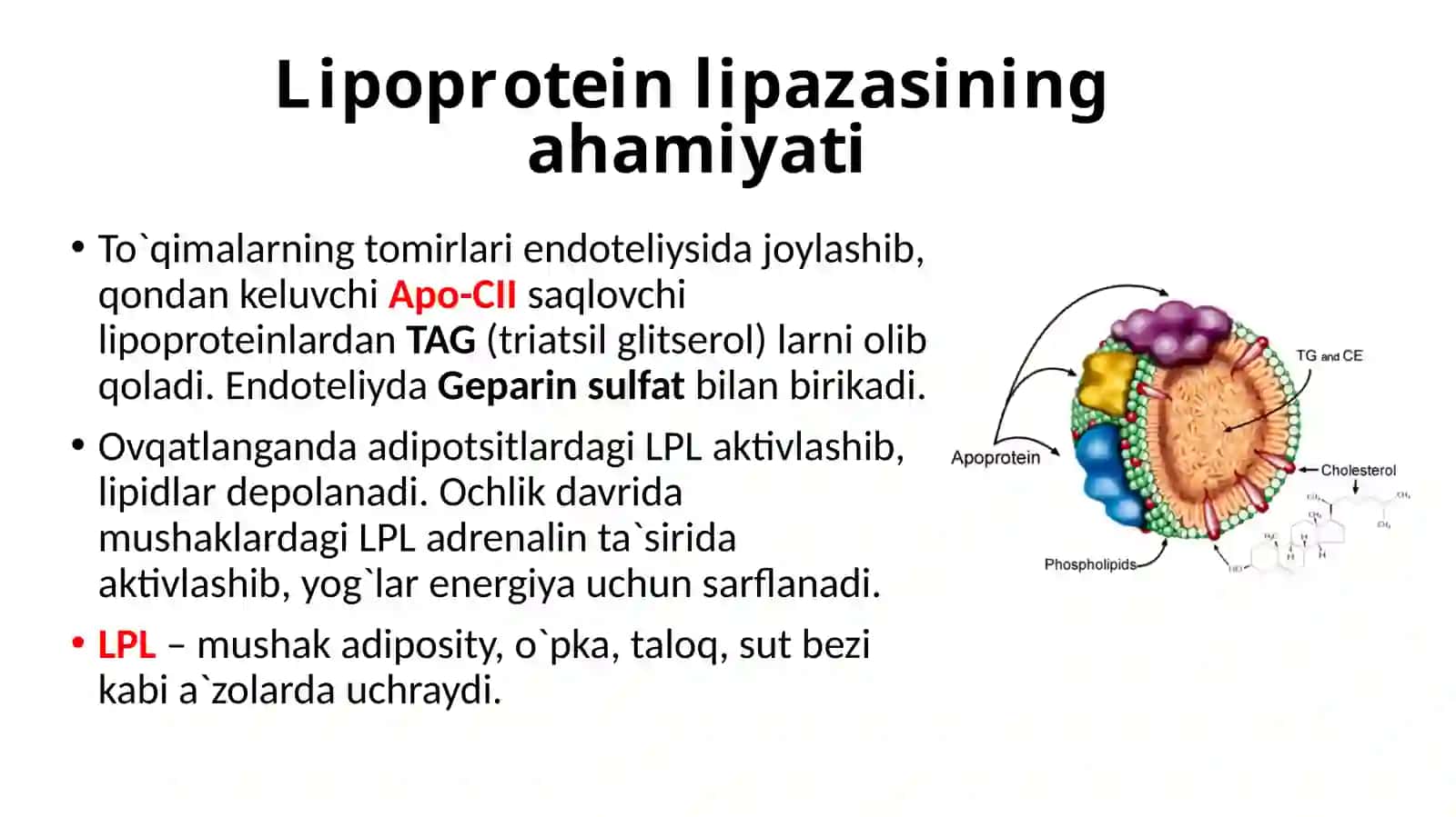 Oraliq yog'larning almashinuvi 2