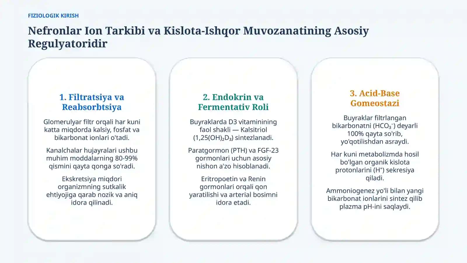 Buyraklarning Ca, P va HCO₃⁻ almashinuvidagi roli — 15 slayd 2