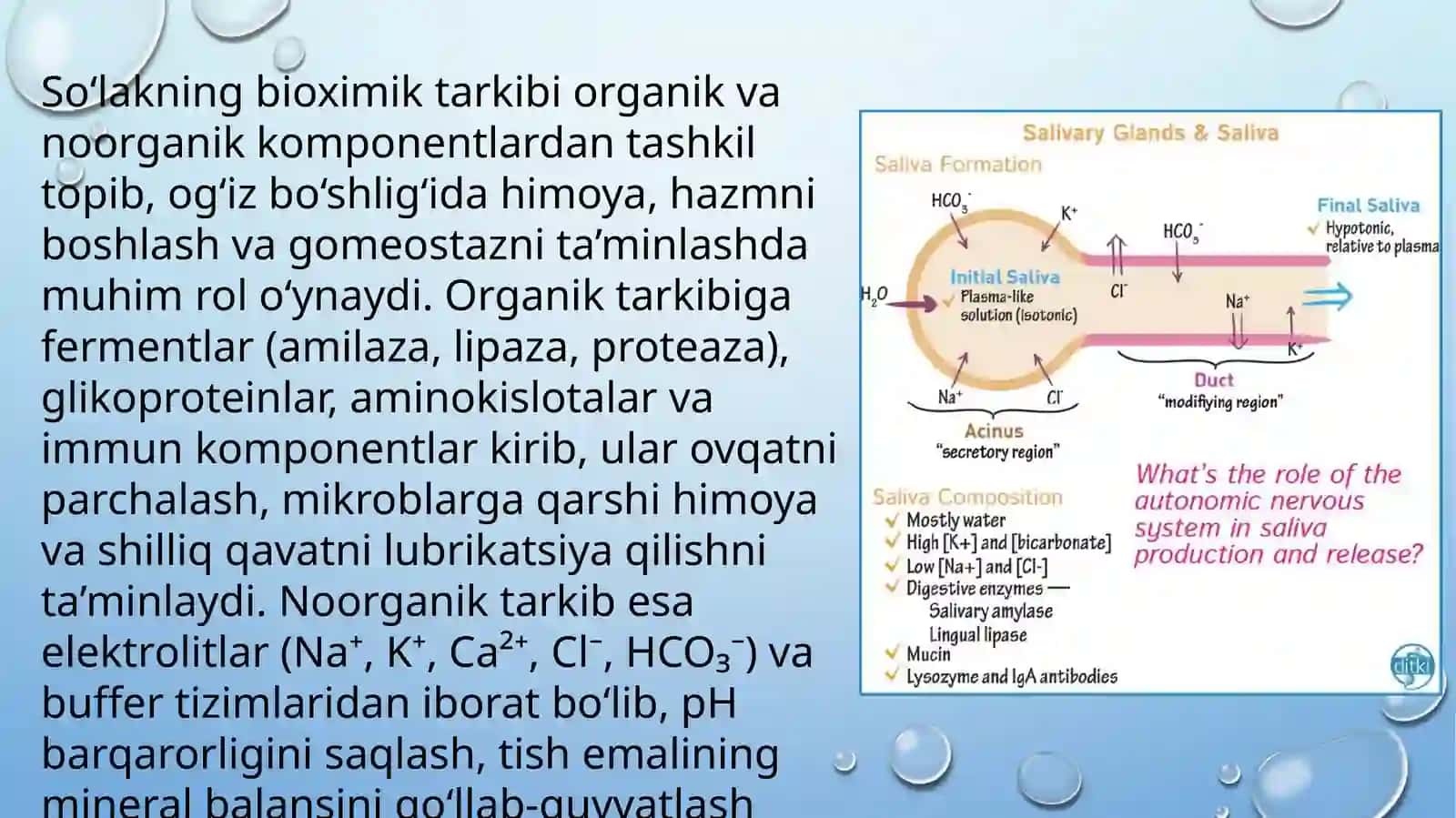 Salivodiagnostika 2
