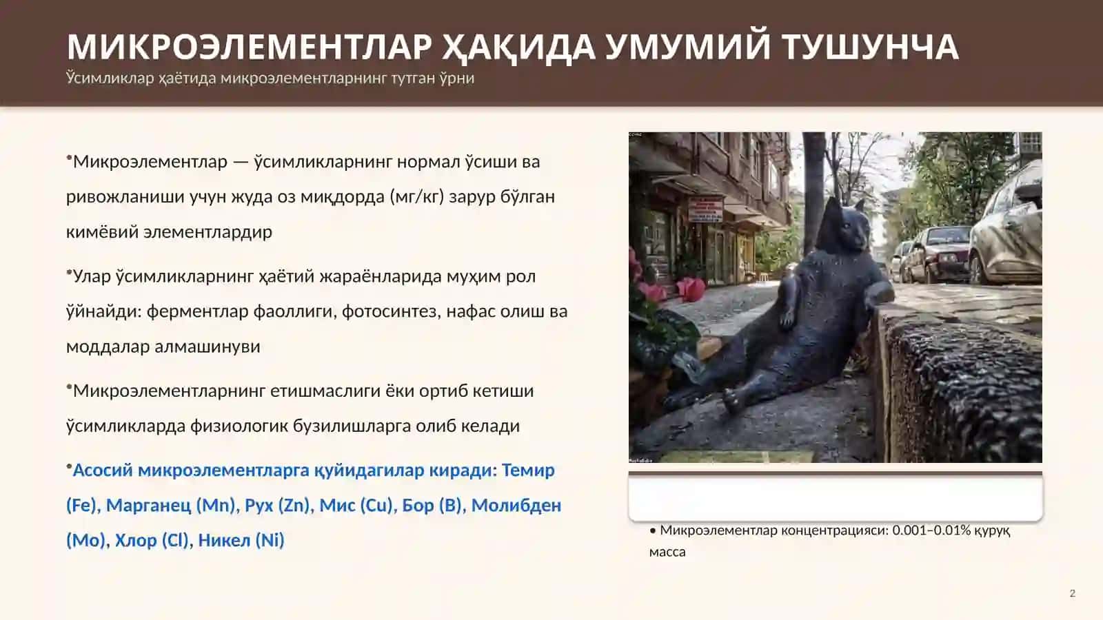 МИКРОЭЛЕМЕНТЛАР ВА УЛАРНИНГ ФИЗИОЛОГИК АҲАМИЯТИ 2