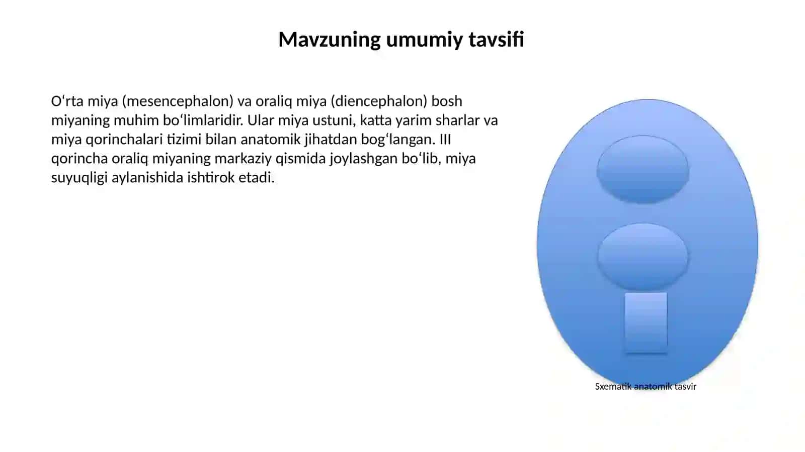 O‘RTA MIYA, ORALIQ MIYA VA BOSH MIYANING III QORINCHASI 2